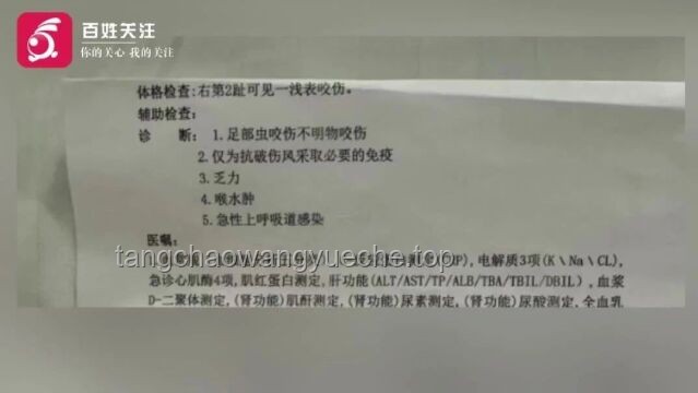 三亚女游客谜案启示：跨界诊断与非常规治疗的创新探索